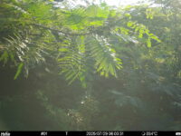 Jul 29 2025  6:00:31, #01