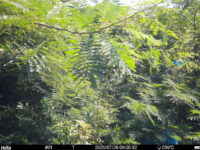 Jul 29 2025  9:00:31, #01