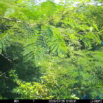 Jul 29 2025 12:00:30, #01