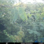 Jul 29 2025 18:00:31, #01