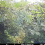 Jul 30 2025  6:00:32, #01