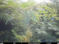 Jul 30 2025  6:00:32, #01