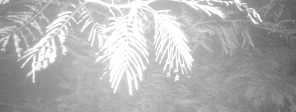 Jul 31 2025  0:00:31, #01