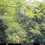 Jul 31 2025  9:00:32, #01