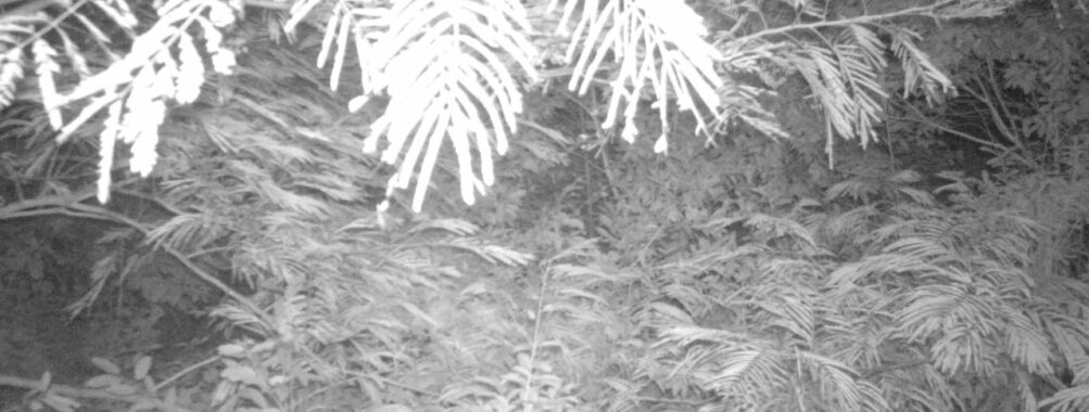 Aug 1 2025  0:00:30, #01