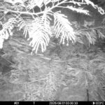 Aug 1 2025  0:00:30, #01