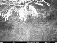 Aug 1 2025  0:00:30, #01