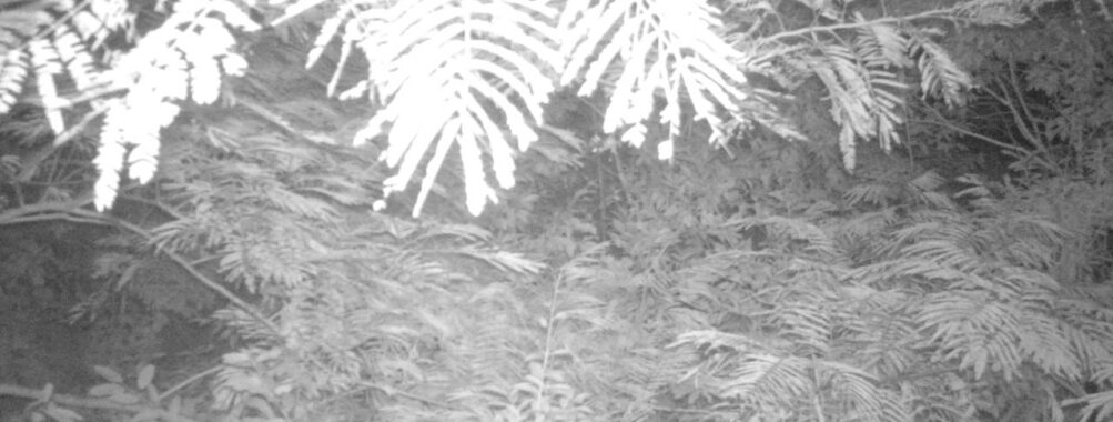 Aug 1 2025  3:00:31, #01