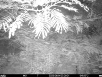 Aug 1 2025  3:00:31, #01