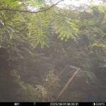 Aug 1 2025  6:00:31, #01