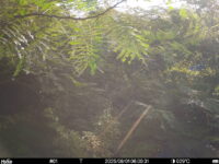 Aug 1 2025  6:00:31, #01