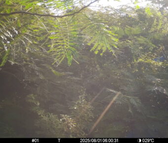 Aug 1 2025  6:00:31, #01