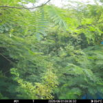 Aug 1 2025  9:00:32, #01