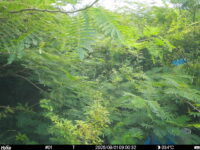 Aug 1 2025  9:00:32, #01