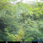 Aug 1 2025 12:00:32, #01