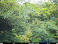 Aug 1 2025 12:00:32, #01