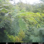 Aug 1 2025 15:00:31, #01