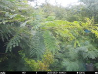 Aug 1 2025 15:00:31, #01