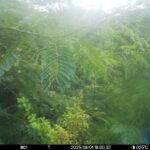 Aug 1 2025 18:00:32, #01