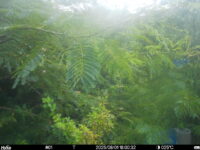 Aug 1 2025 18:00:32, #01