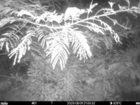 Aug 1 2025 21:00:32, #01