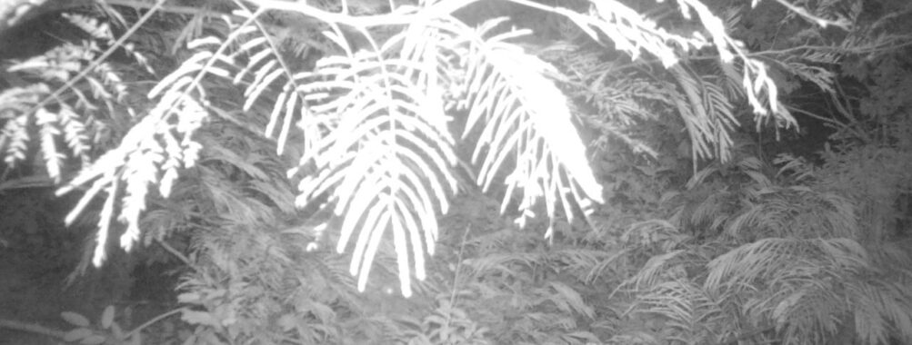 Aug 2 2025  0:00:30, #01