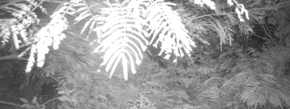 Aug 2 2025  3:00:31, #01