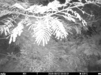 Aug 2 2025  3:00:31, #01