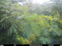 Aug 2 2025  6:00:32, #01