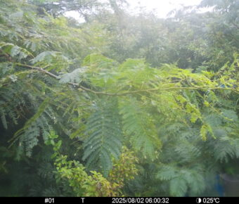 Aug 2 2025  6:00:32, #01