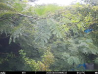 Aug 2 2025  9:00:32, #01