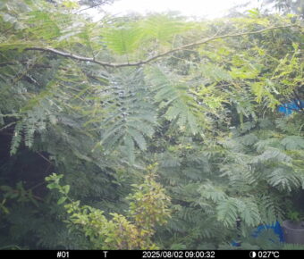 Aug 2 2025  9:00:32, #01