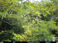 Aug 2 2025 12:00:32, #01