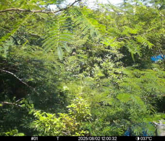 Aug 2 2025 12:00:32, #01