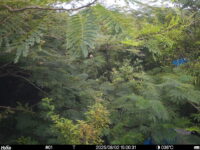 Aug 2 2025 15:00:31, #01