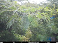Aug 2 2025 18:00:31, #01