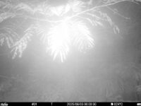Aug 3 2025  0:00:30, #01