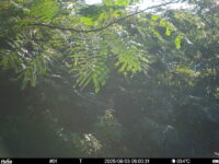 Aug 3 2025  6:00:31, #01