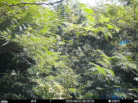 Aug 3 2025  9:00:32, #01