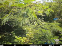 Aug 3 2025 12:00:32, #01