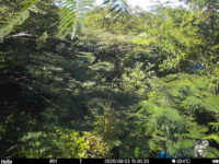 Aug 3 2025 15:00:30, #01