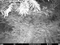 Aug 3 2025 21:00:31, #01