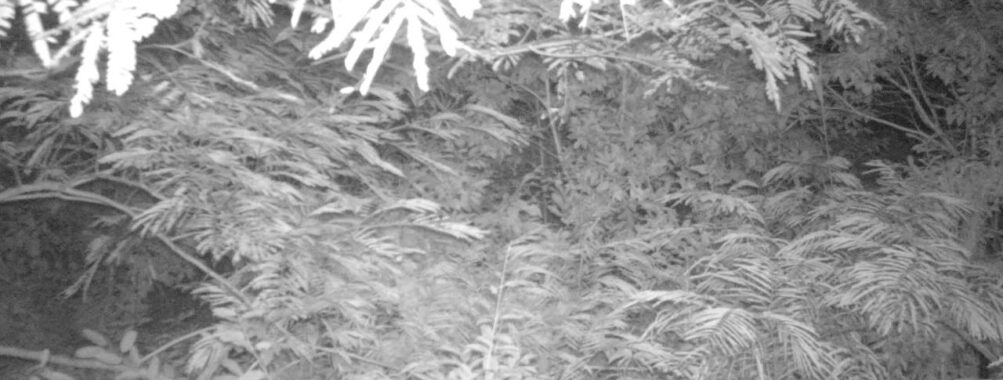 Aug 4 2025  0:00:30, #01