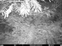 Aug 4 2025  0:00:30, #01