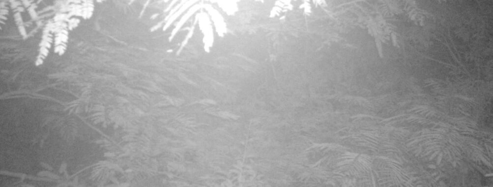 Aug 4 2025  3:00:31, #01