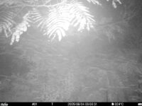 Aug 4 2025  3:00:31, #01