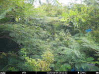Aug 4 2025  9:00:32, #01