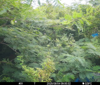 Aug 4 2025  9:00:32, #01
