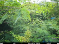 Aug 4 2025 12:00:32, #01