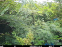 Aug 4 2025 15:00:32, #01